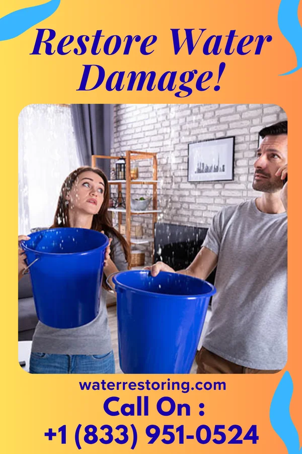 water restoration Crown Sewage Cleanup Professionals Temple Hills